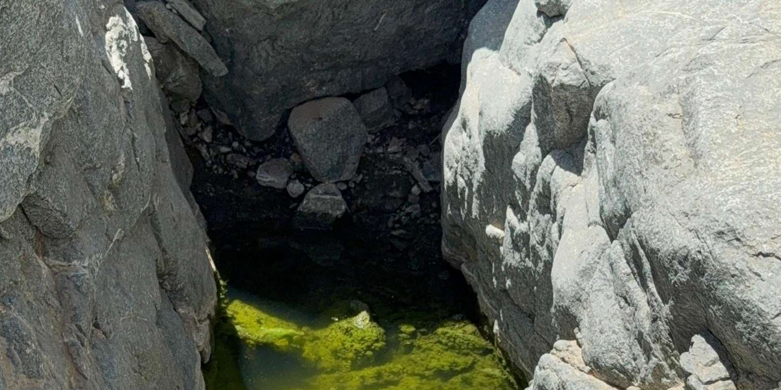 Marsa Alam: Wadi El Gemal Jeep Tour & Dinner