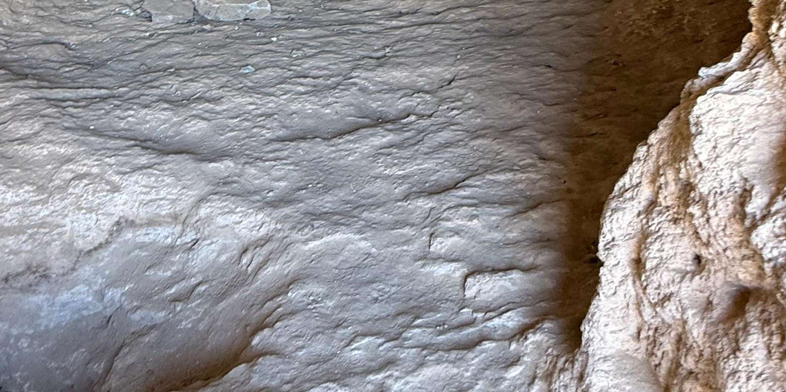 Marsa Alam: Wadi El Gemal Jeep Tour & Dinner