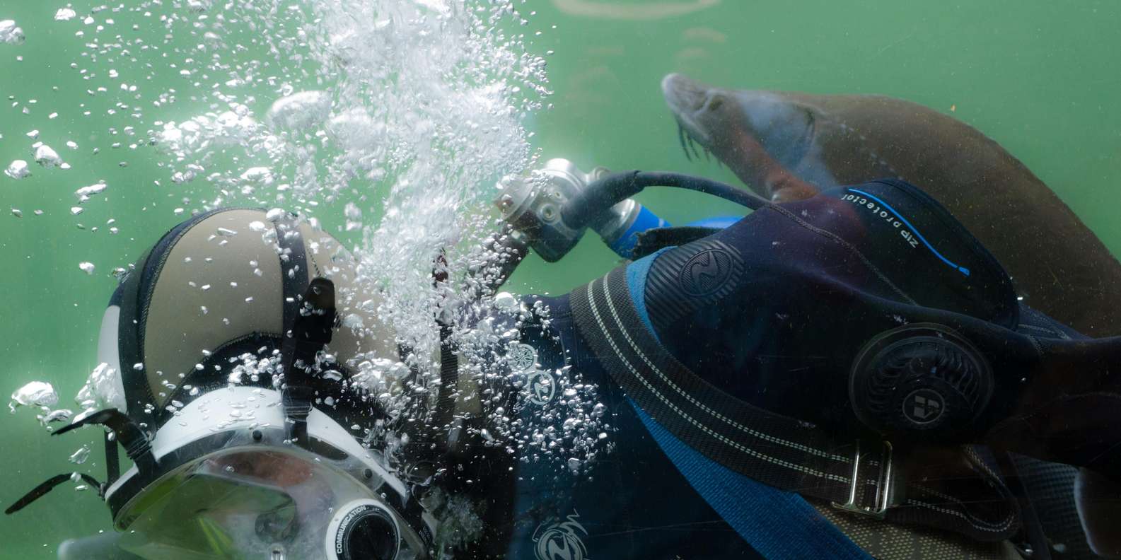 Sharm El Sheikh: Guided Shore Scuba Diving Adventure