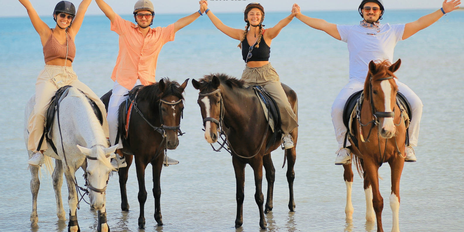 Sharm El Sheikh: Beach & Desert Horse Riding