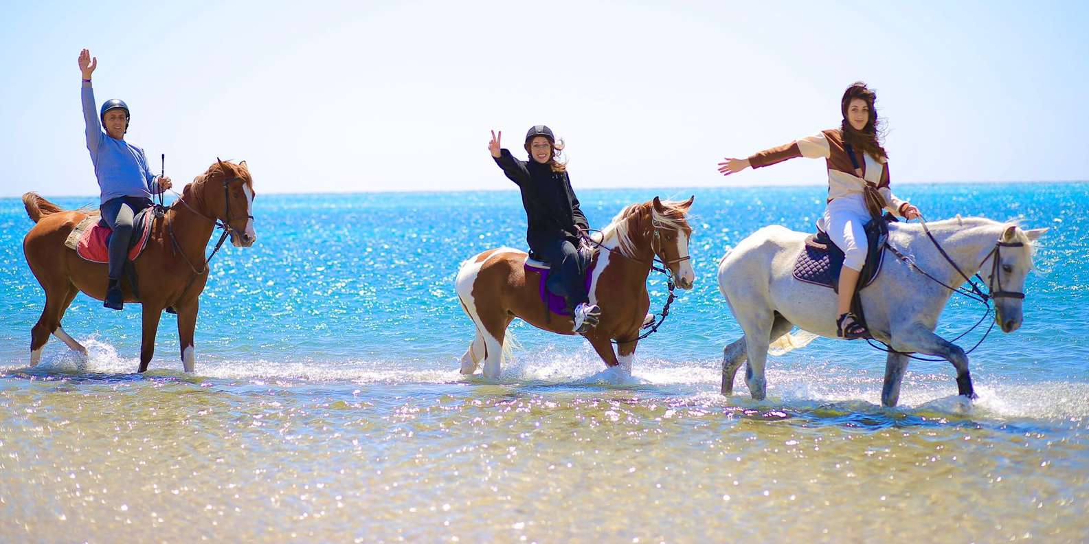 Sharm El Sheikh: Beach & Desert Horse Riding