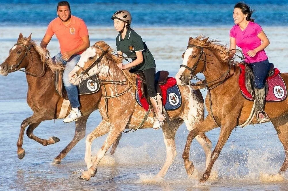 2 hour horseback ride in nabq bay - Image 1