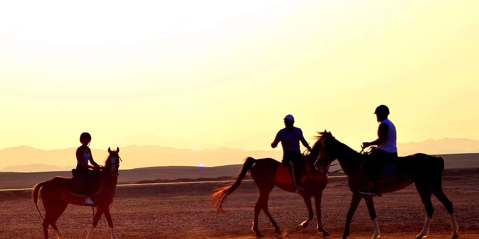 Hurghada: Makadi Bay Horse Riding Tour