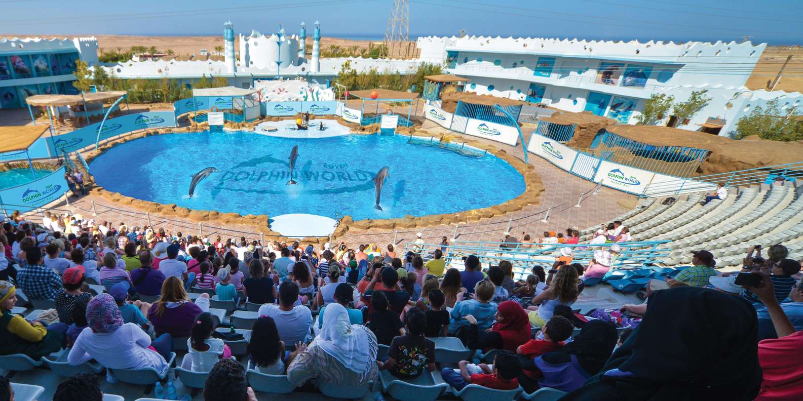 Hurghada: Dolphin World Show with Walruses & Pickup
