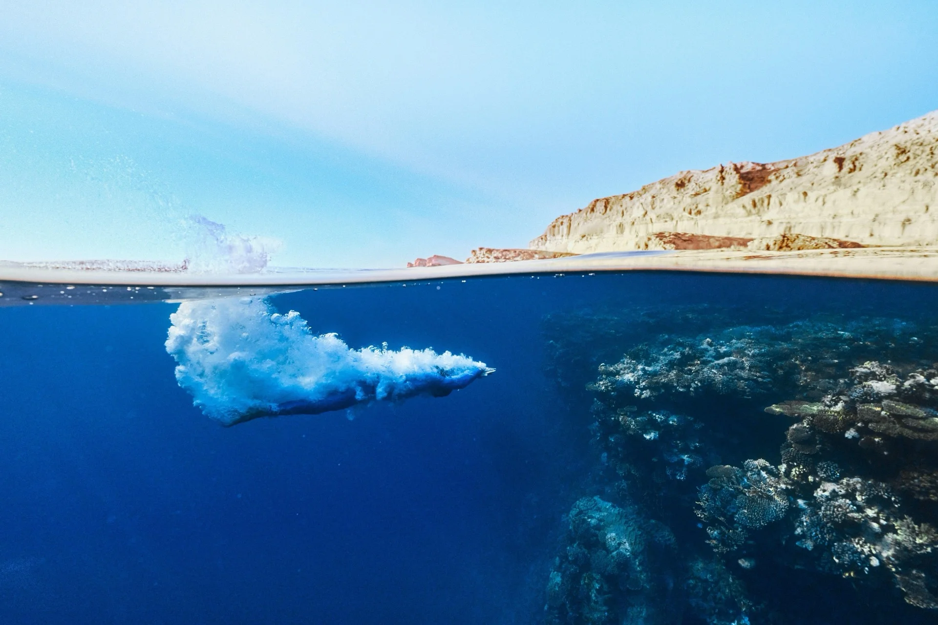 Marsa Alam snorkeling and diving — turquoise Red Sea waters with vibrant marine life and coral gardens