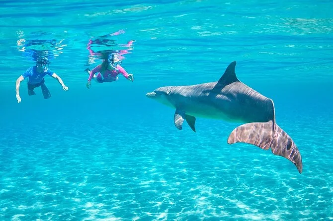 Is it Worth It? The Truth About the Hurghada Dolphin House in 2026