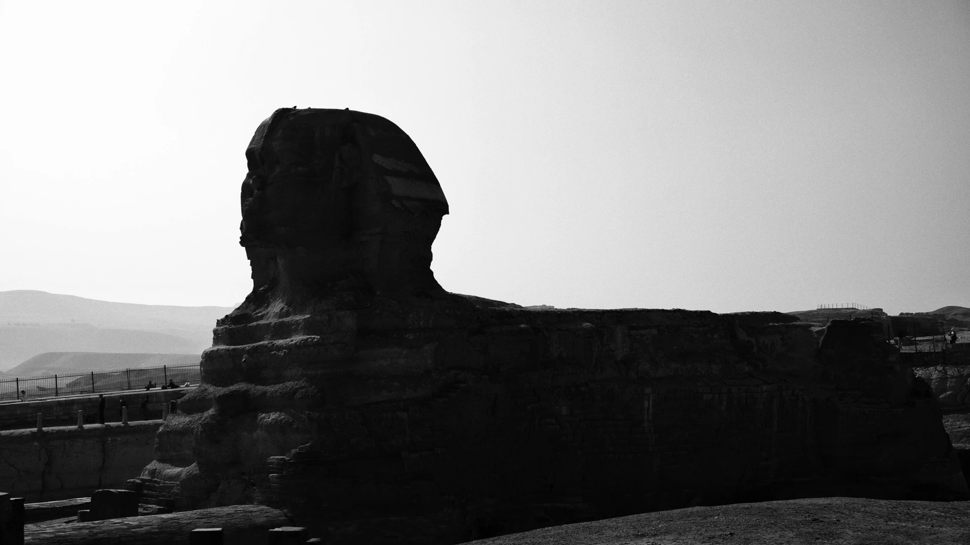 Cairo, Egypt - Artistic black and white capture of the great sphinx in giza, egypt, illustrating grandeur and mystery.