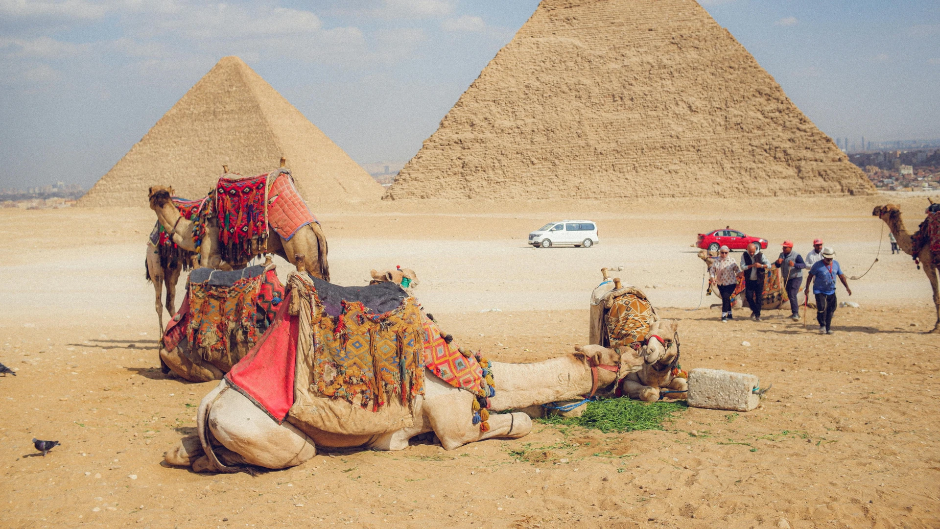 Giza, Egypt - Camels resting near the giza pyramids with tourists exploring the iconic site.