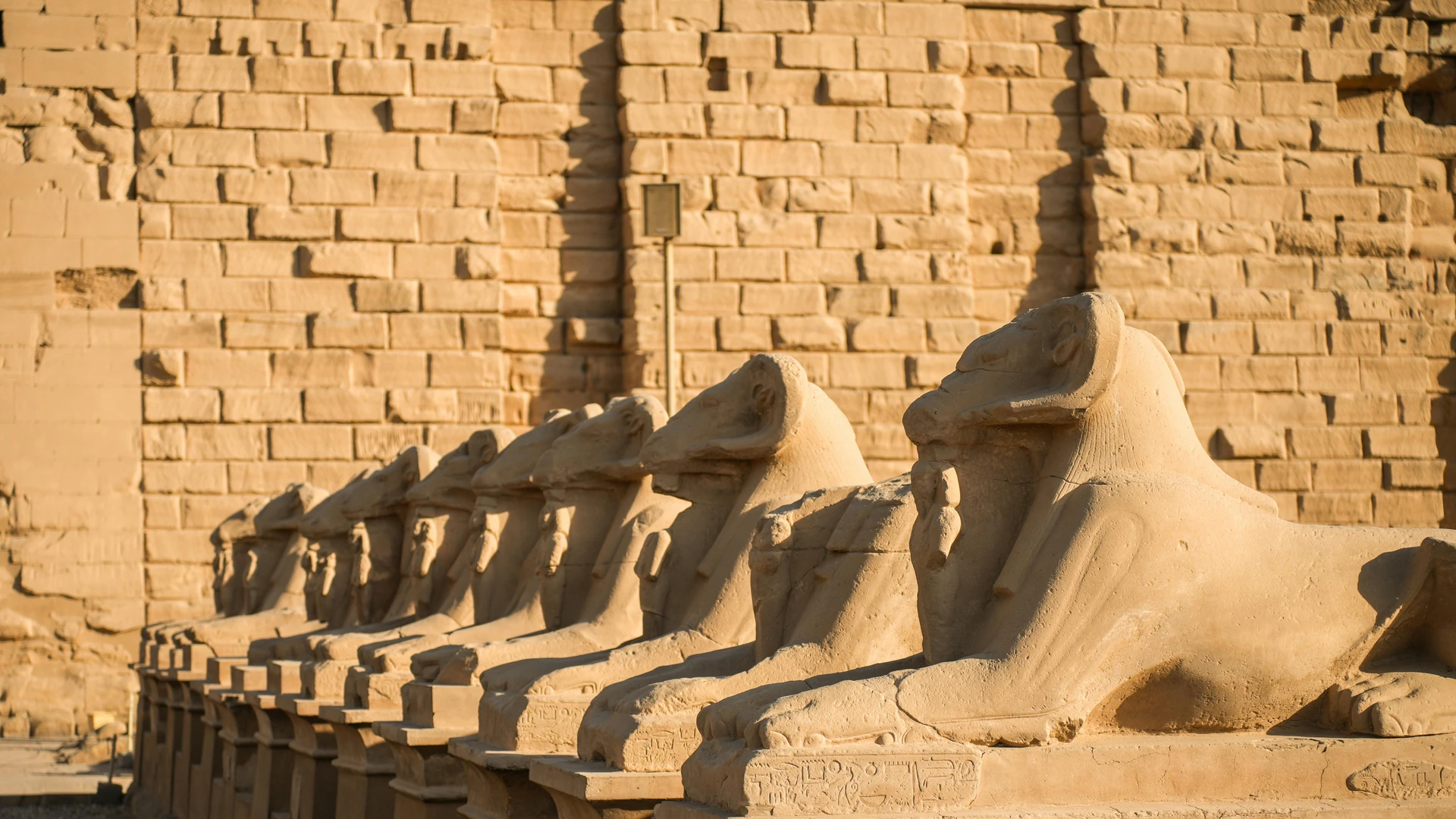 Luxor, Egypt - Row of ancient sphinx statues with ram heads in egypt under warm sunlight.