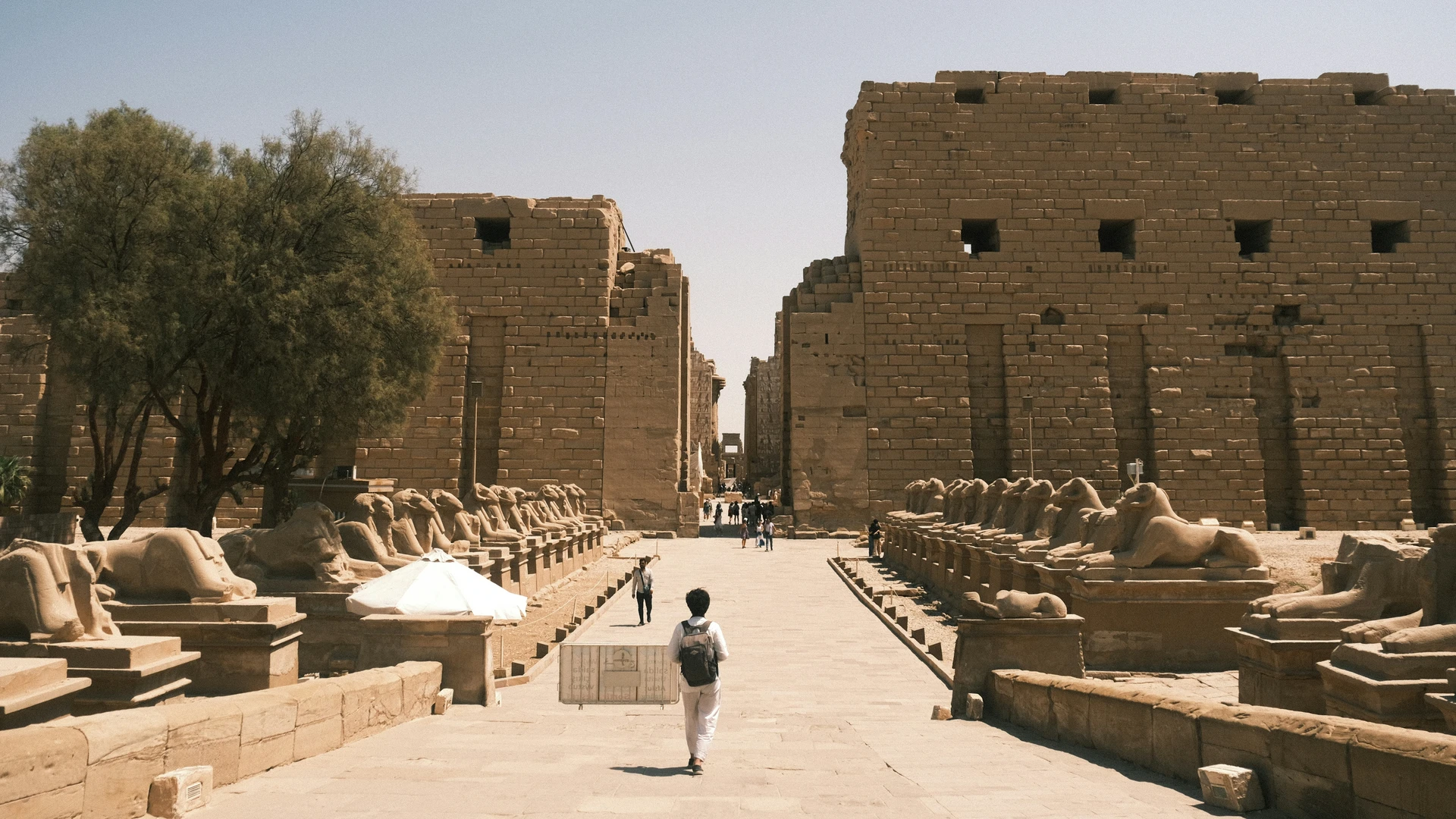 Safaga, Egypt - Person walks down an ancient avenue lined with sphinxes.