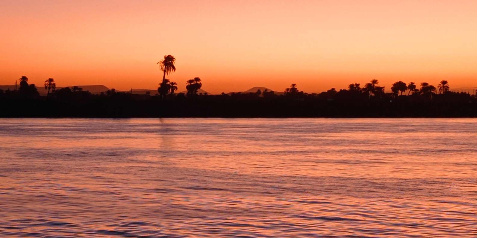 صورة التقييم 2