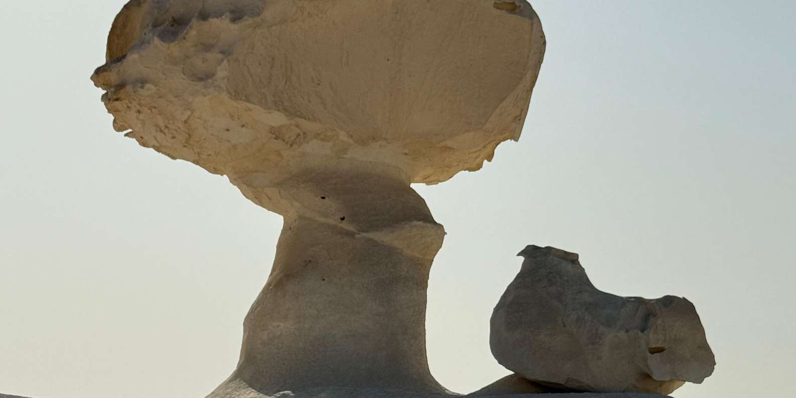 صورة التقييم 1