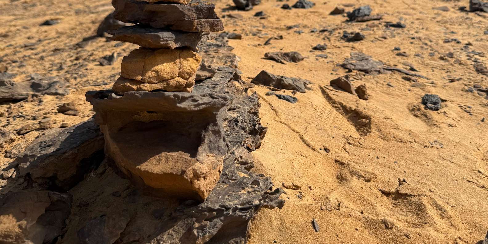 صورة التقييم 2