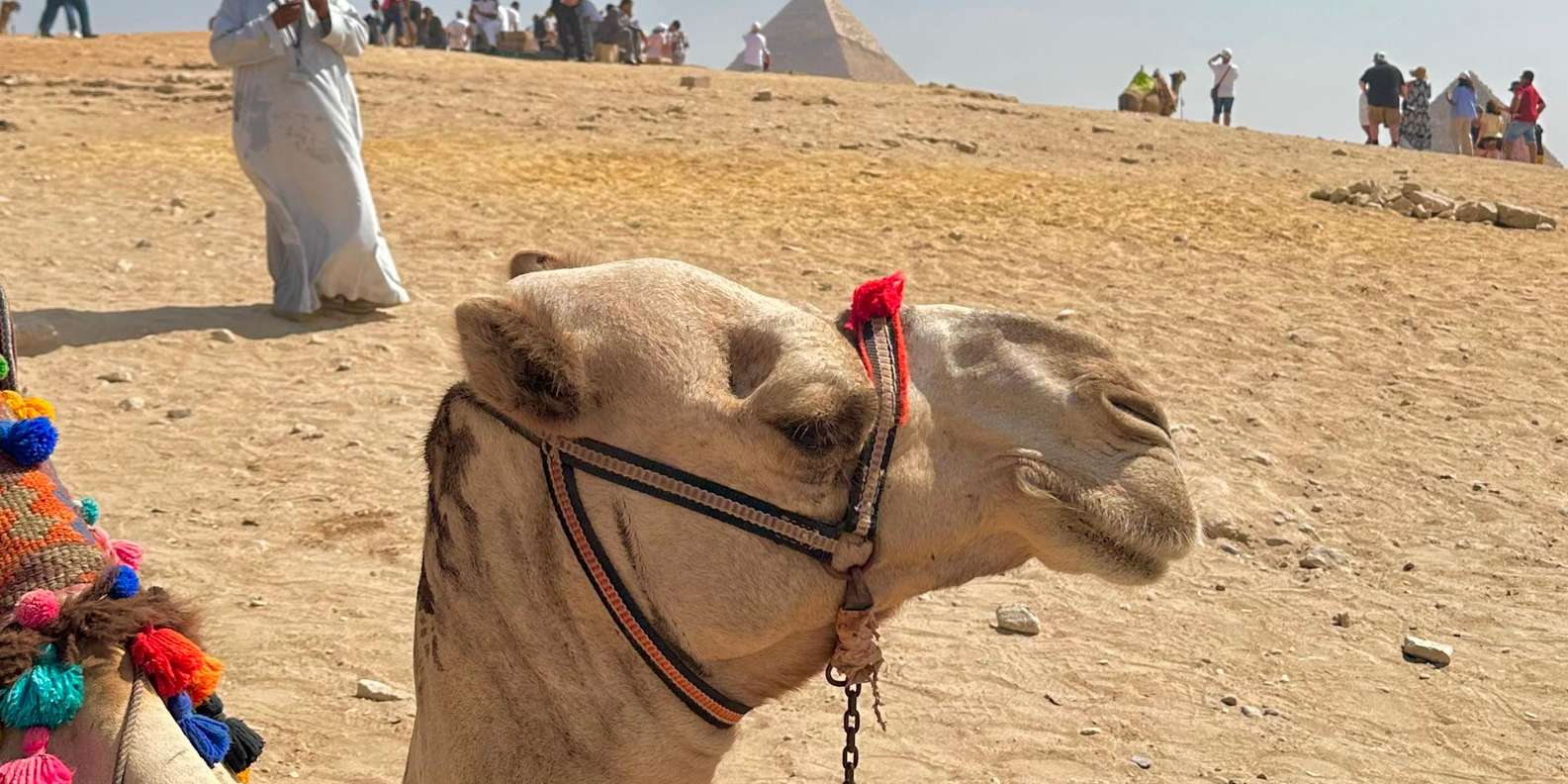 صورة التقييم 1