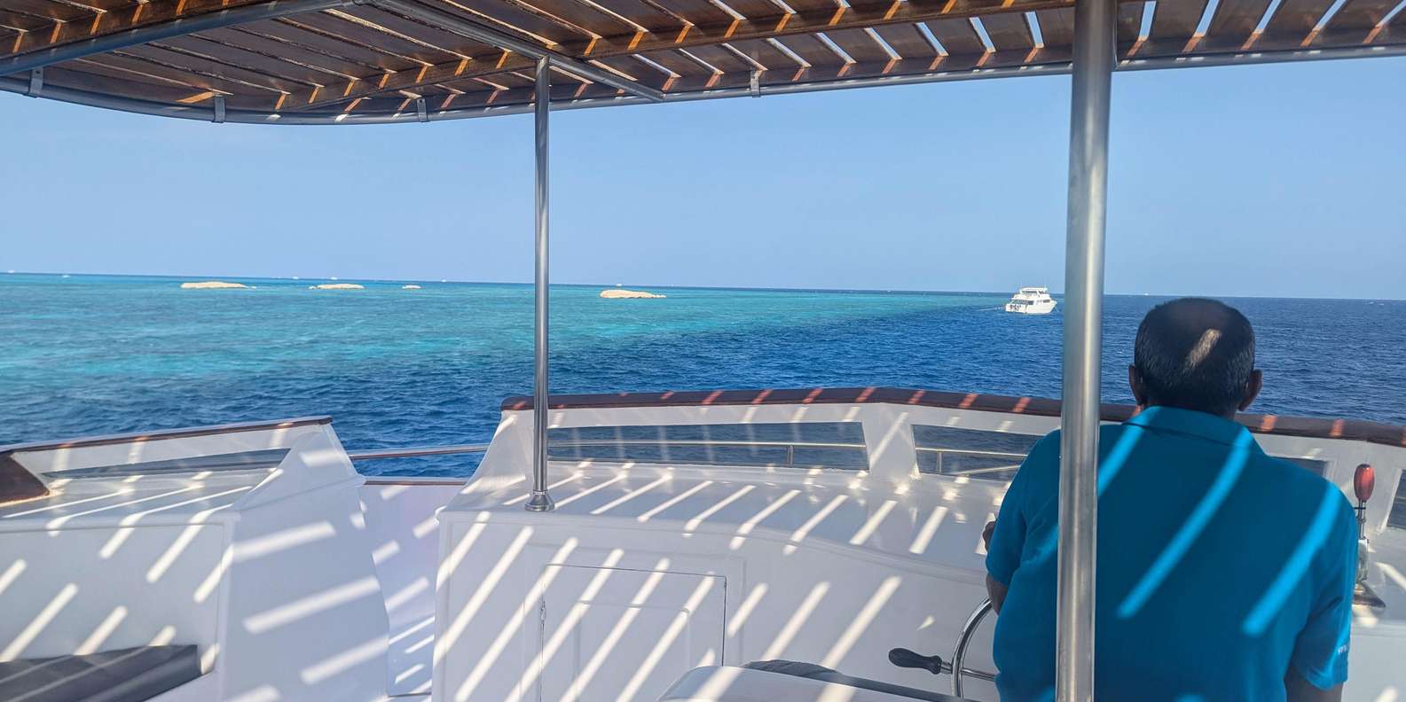 صورة التقييم 1