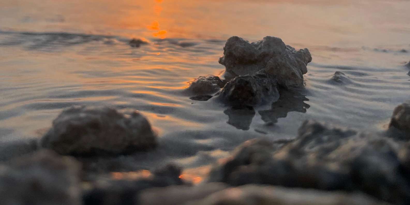 صورة التقييم 1