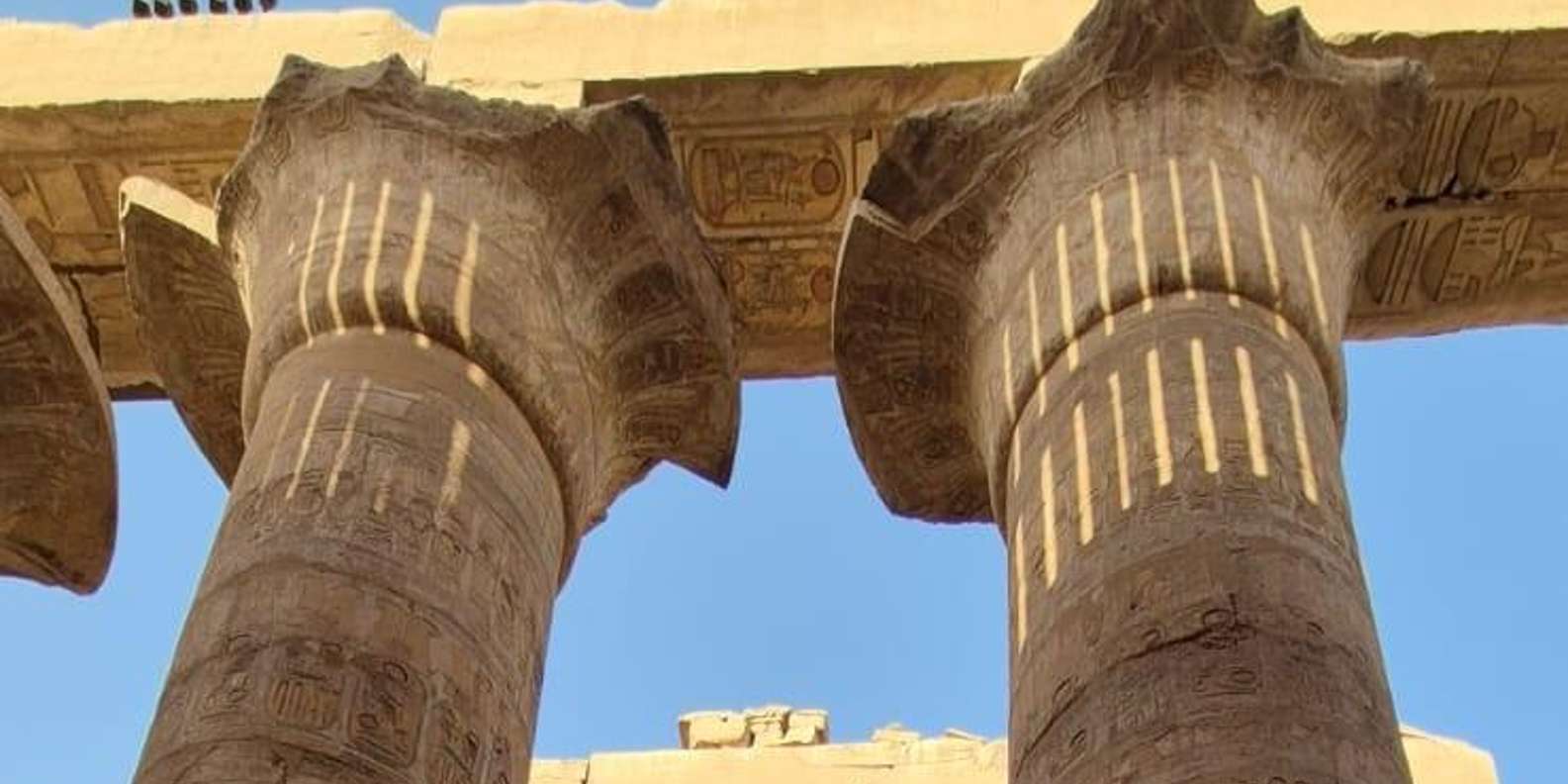 صورة التقييم 1