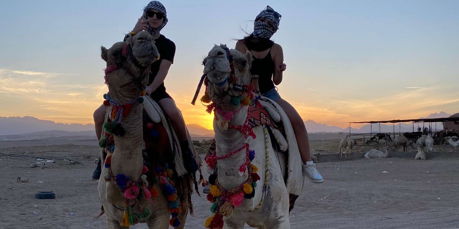 صورة التقييم 1