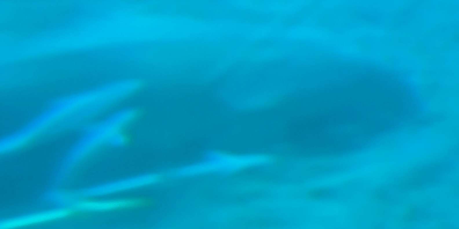 Immagine recensione 2