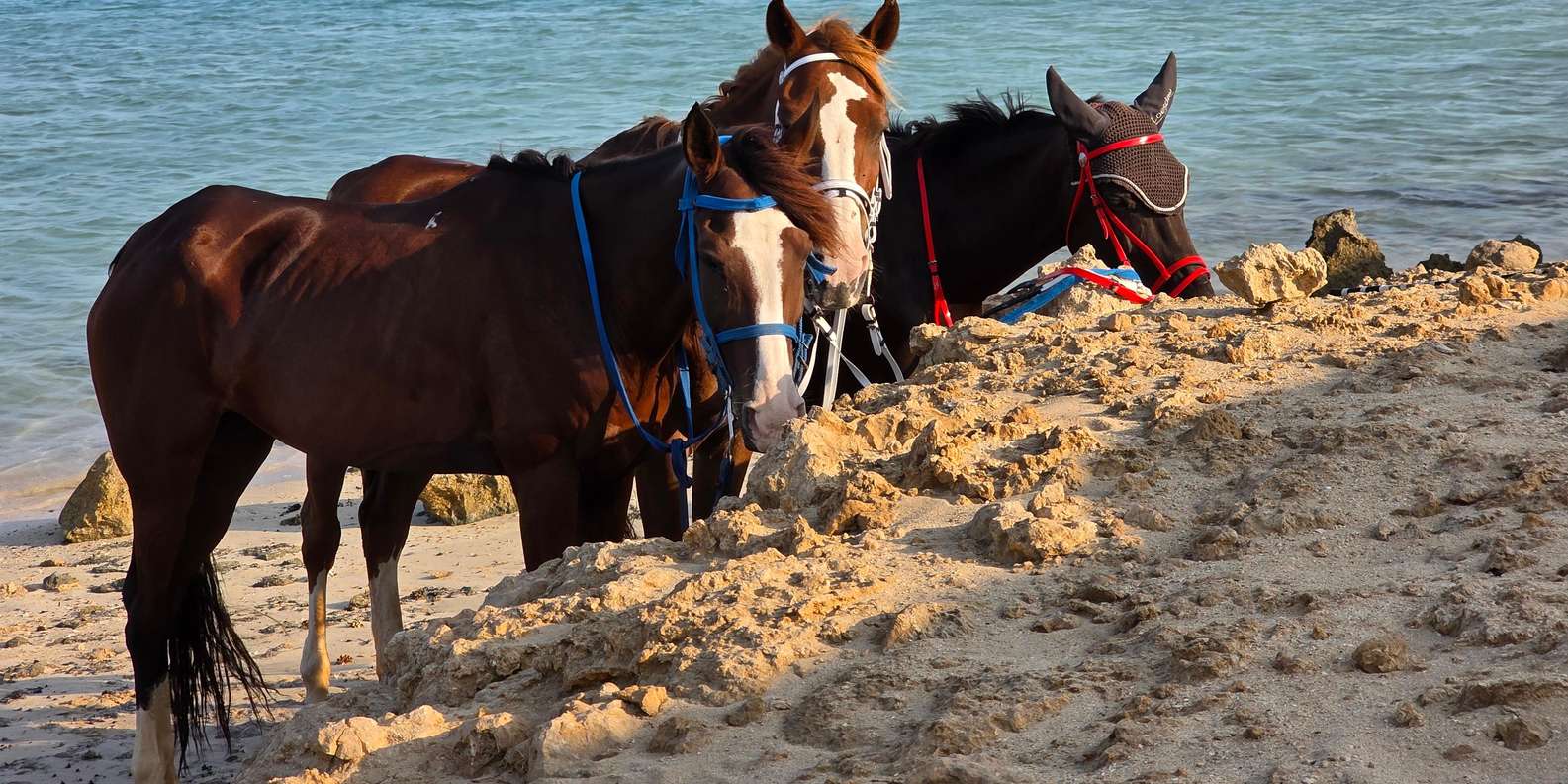 صورة التقييم 2