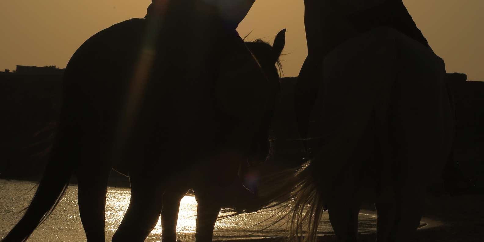 Immagine recensione 1