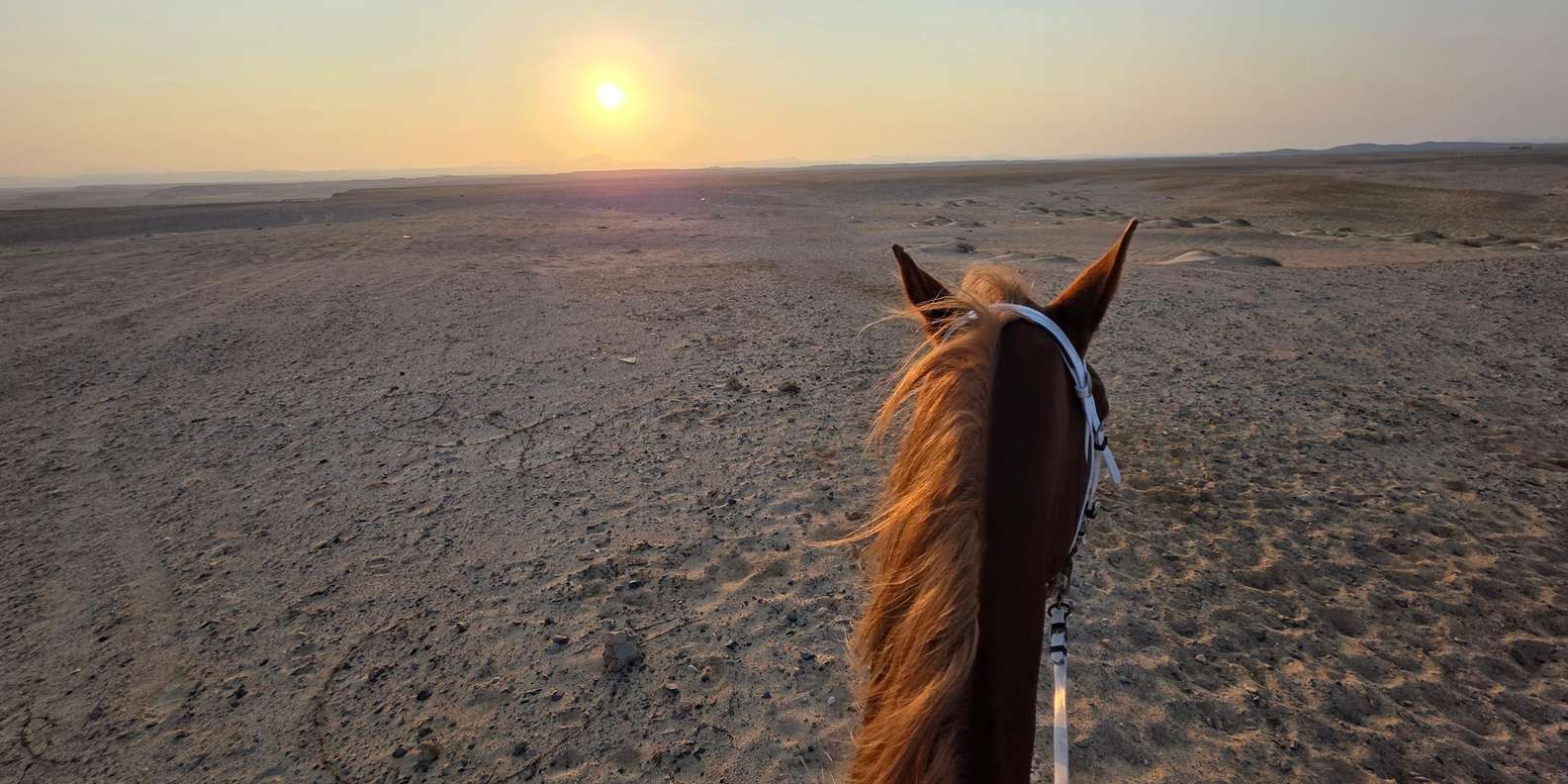 صورة التقييم 2