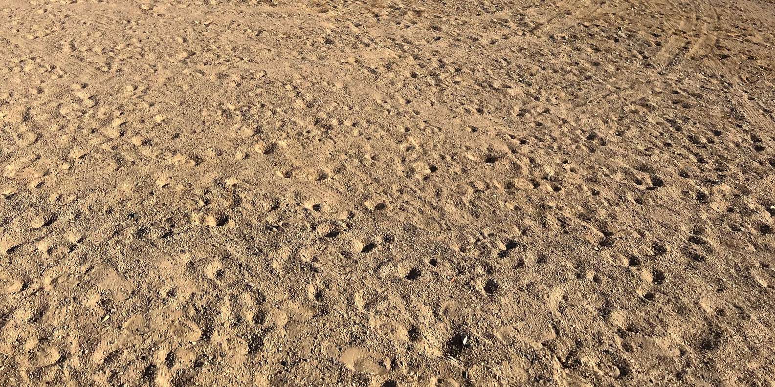 صورة التقييم 3