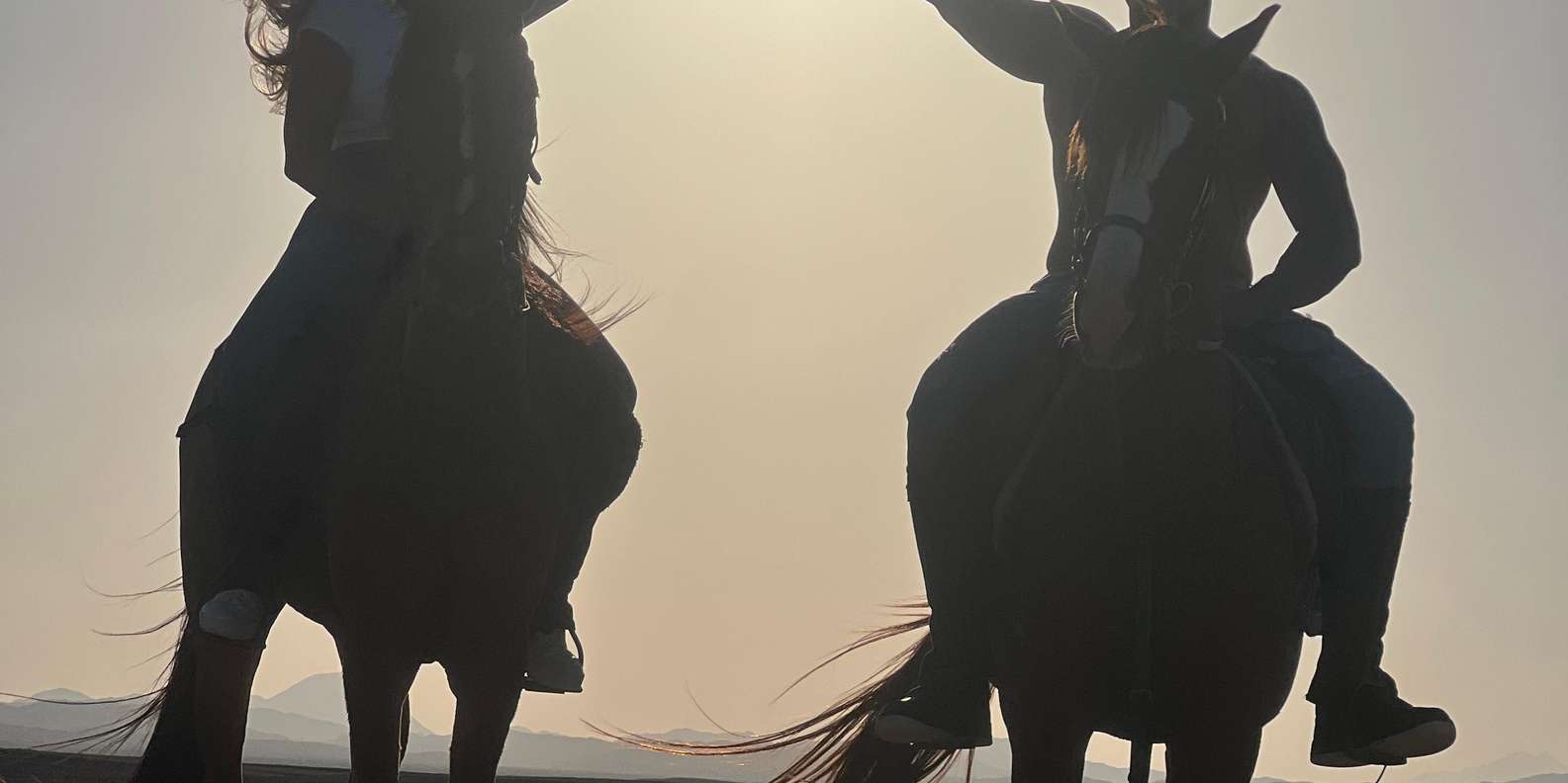 صورة التقييم 1