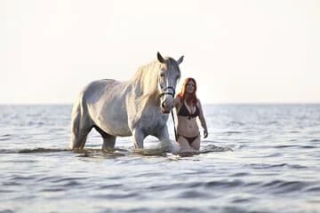Horse Riding Tour Two Hours Sun & Sea With Transfer - Hurghada - Image 1