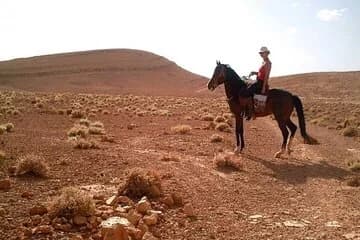 Horse Riding 1 Hour Adventures in the Magical Desert - Hurghada - Image 1