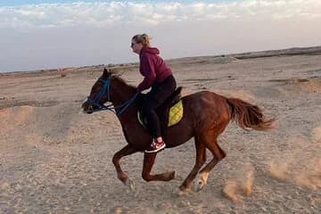 Unleash Your Spirit Horse Riding in Gorgeous Desert- Hurghada - Image 1