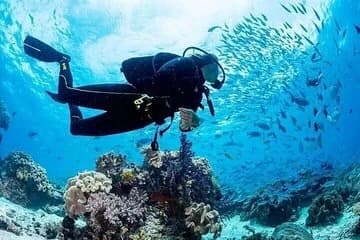 Join our Daily Diving Trip with 2 dives Transfer & Lunch-Hurghada - Image 1