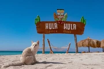 Hula Hula Island Snorkeling & Watersport Trip with Lunch–Hurghada - Image 1