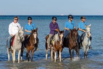 Free Product for January - Image 1