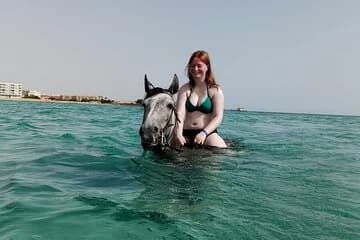 Spend Professional 2 Hours Horse Riding & Transfer From Hurghada - Image 1