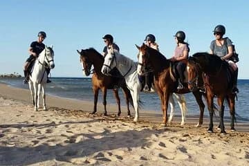 Horse Riding on Hurghada Desert and Beach - Image 1